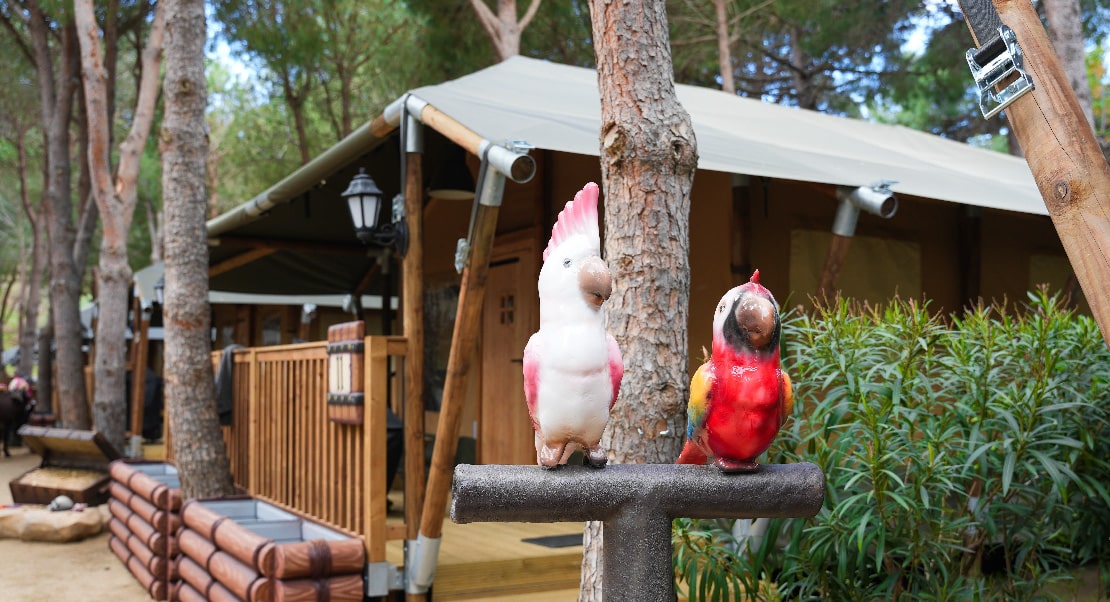 Camping Sant Miquel